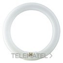 Fluorescente Master TL-E circular 22W/840 con referencia 84050600 de la marca PHILIPS.