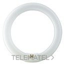 Fluorescente Master TL-E circular 32W/865 G10q con referencia 84055100 de la marca PHILIPS.