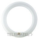 Fluorescente Master TL-E circular 40W/840 4000K con referencia 28474715 de la marca PHILIPS.