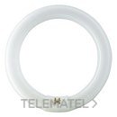 Fluorescente Master TL-E circular 40W/865 con referencia 84057500 de la marca PHILIPS.